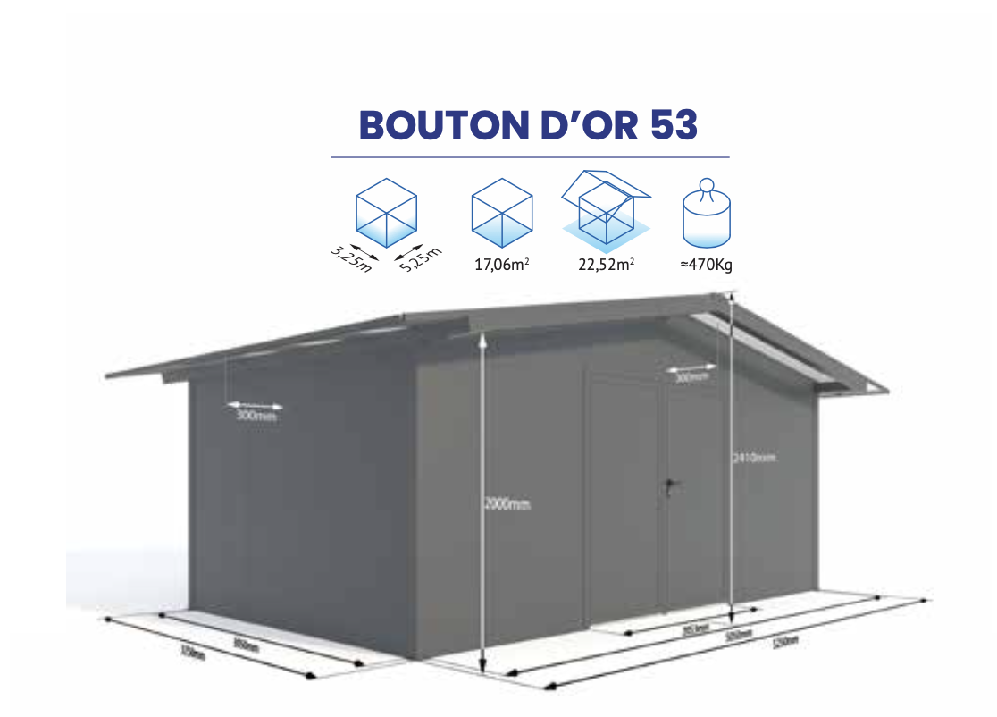 BOUTON OR 53