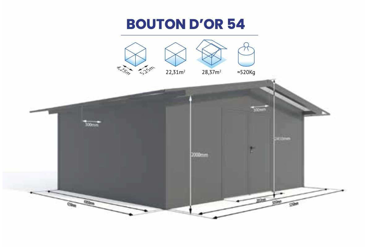 BOUTON OR 54