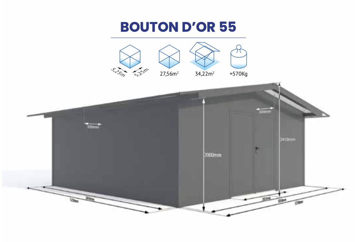 BOUTON OR 55