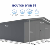 BOUTON OR 55