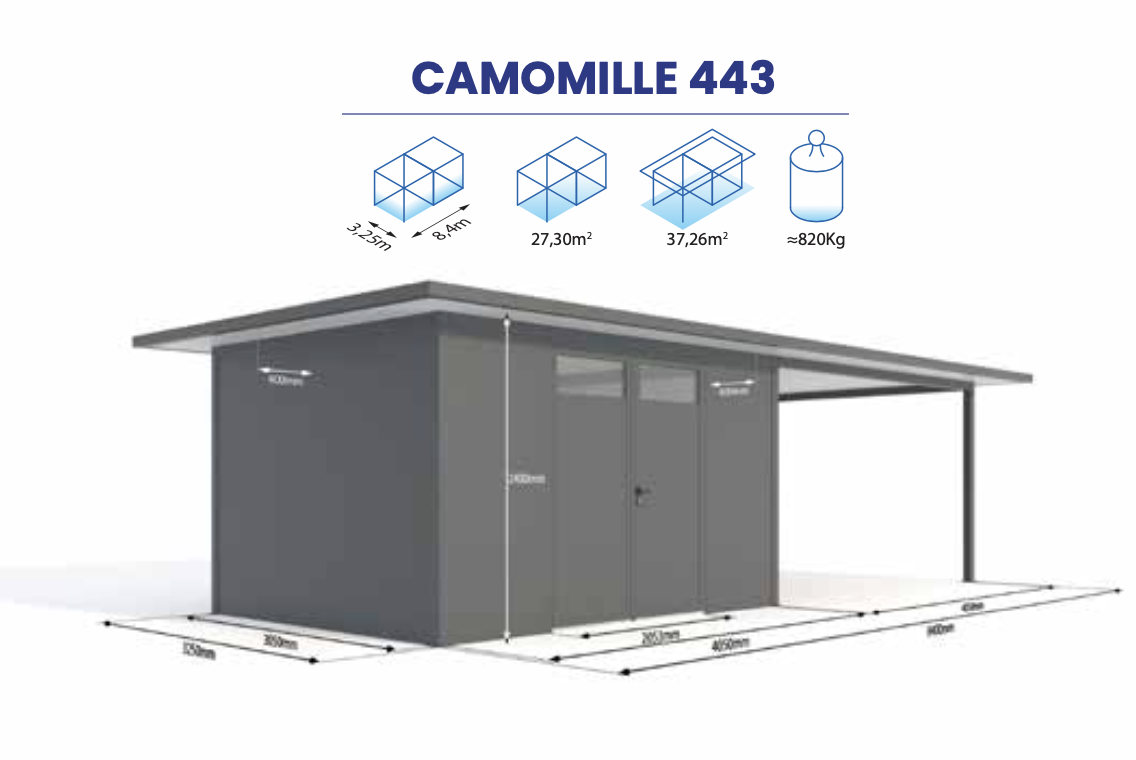 CAMOMILLE 443