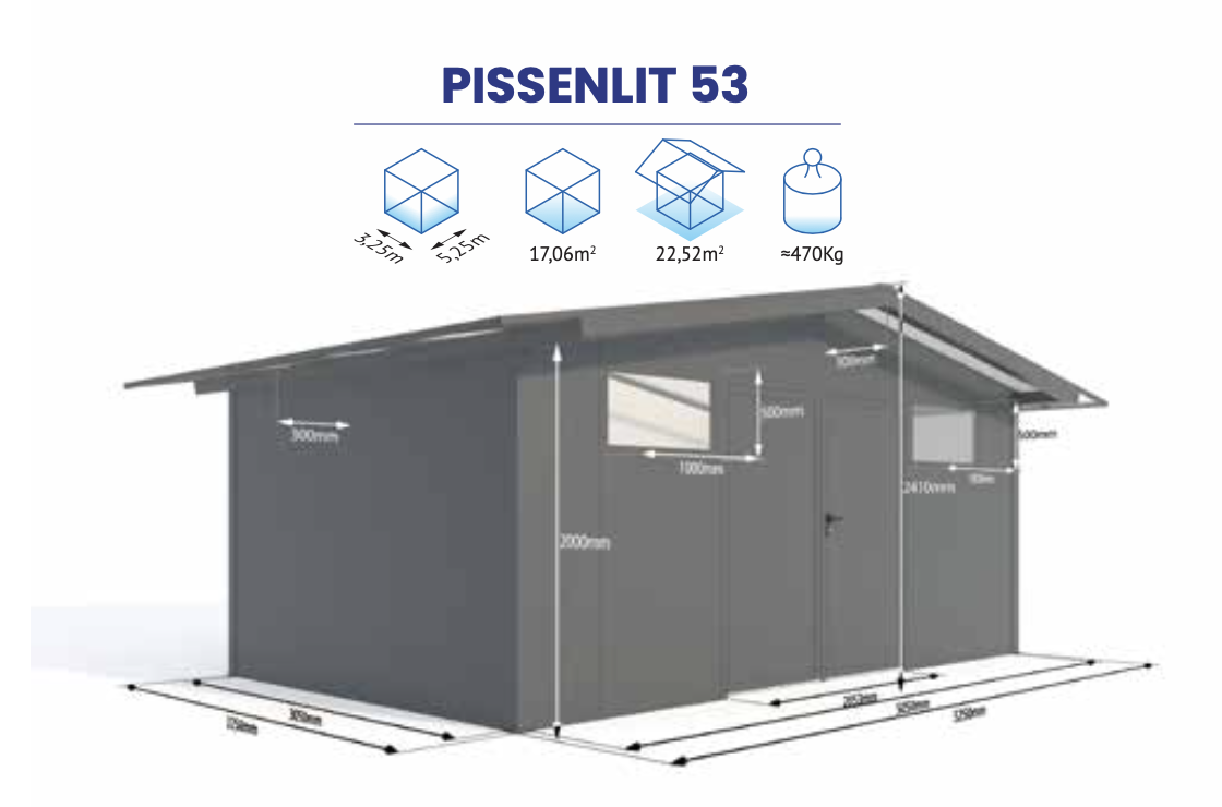 PISSENLIT 53