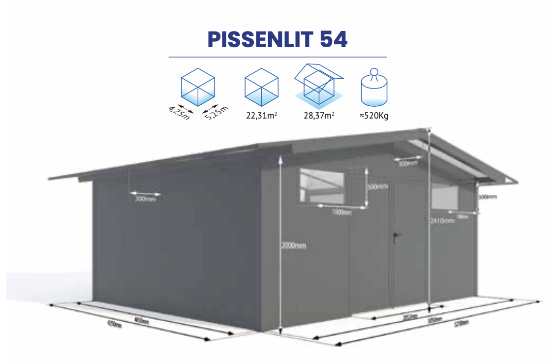 PISSENLIT 54