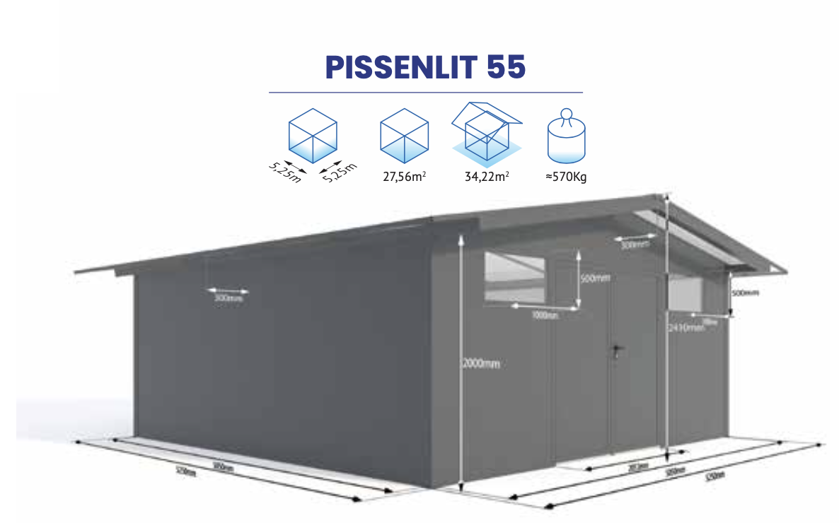 PISSENLIT 55