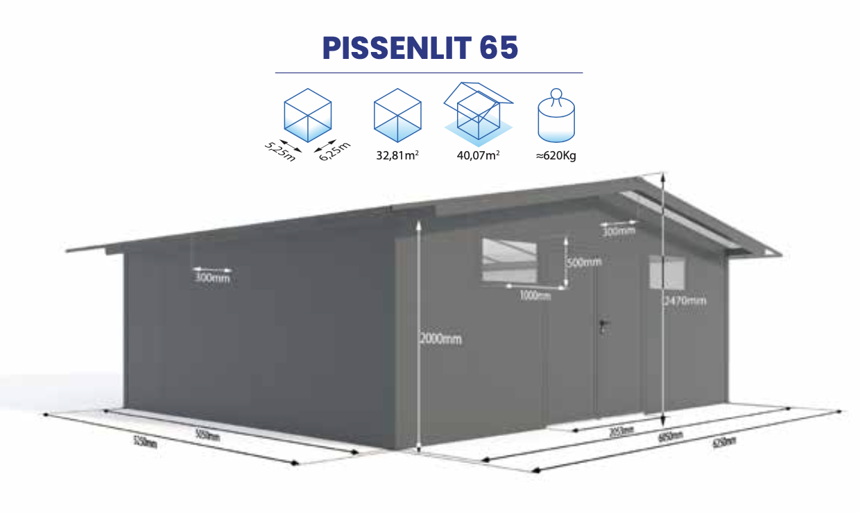 PISSENLIT 65